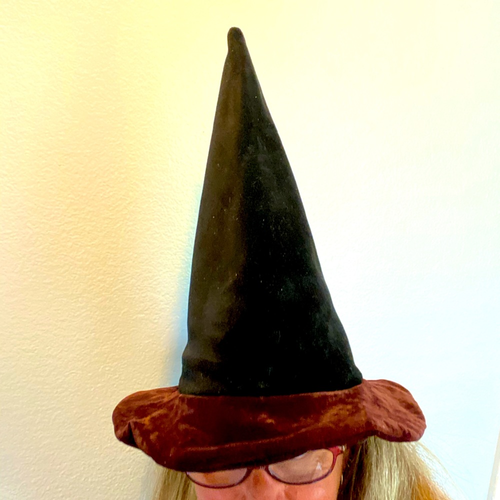 Velvet Witches Hat